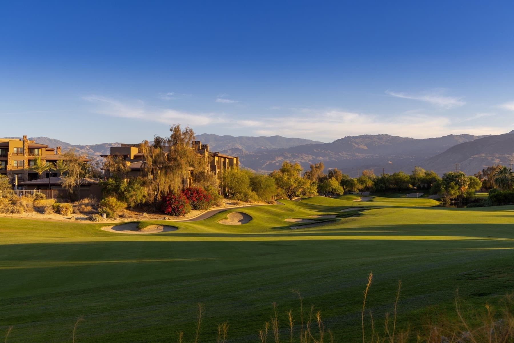 Firecliff Course