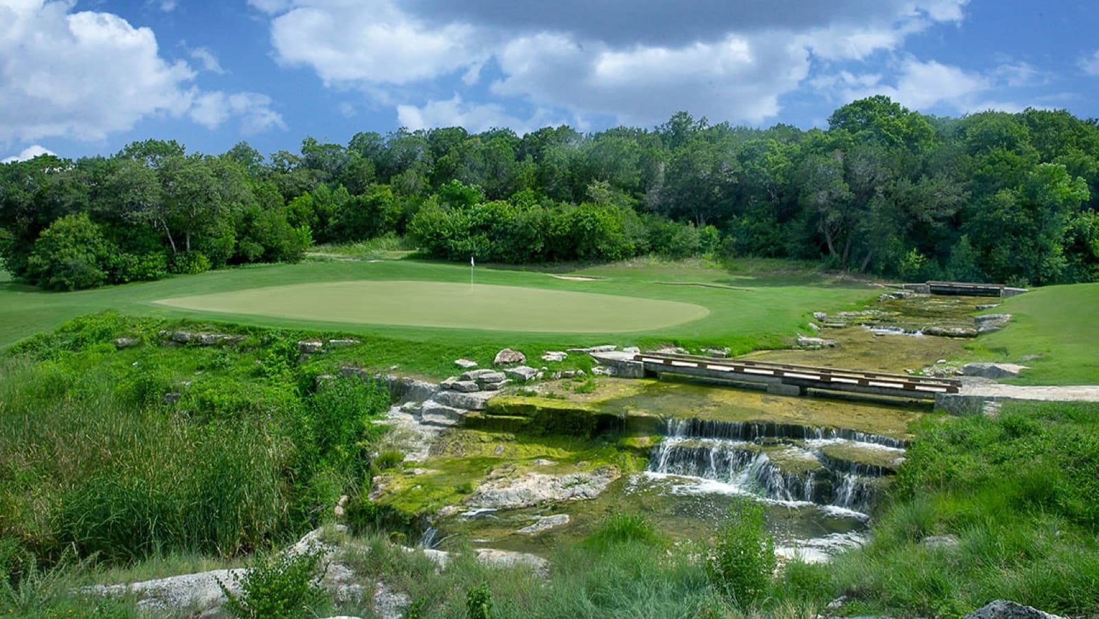 a green above the creek on Fazio Canyons