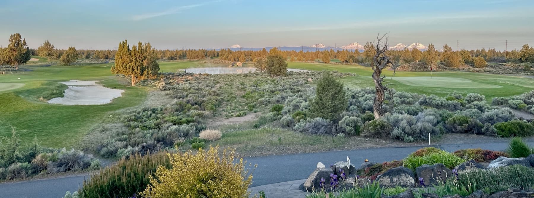 Juniper's fairways through the high desert, a wind-twisted juniper and the snow-capped Three Sisters beyond