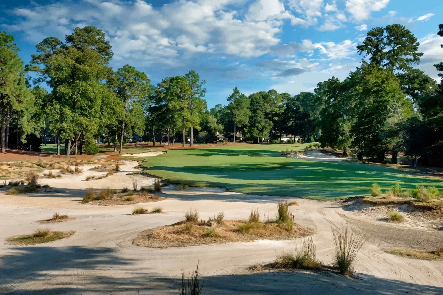 The sandy green complex at Pinehurst No. 3