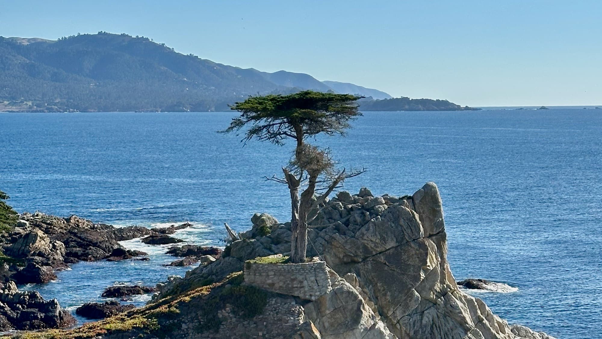 the Lone Cypress on 17-Mile Drive, above the Pacific