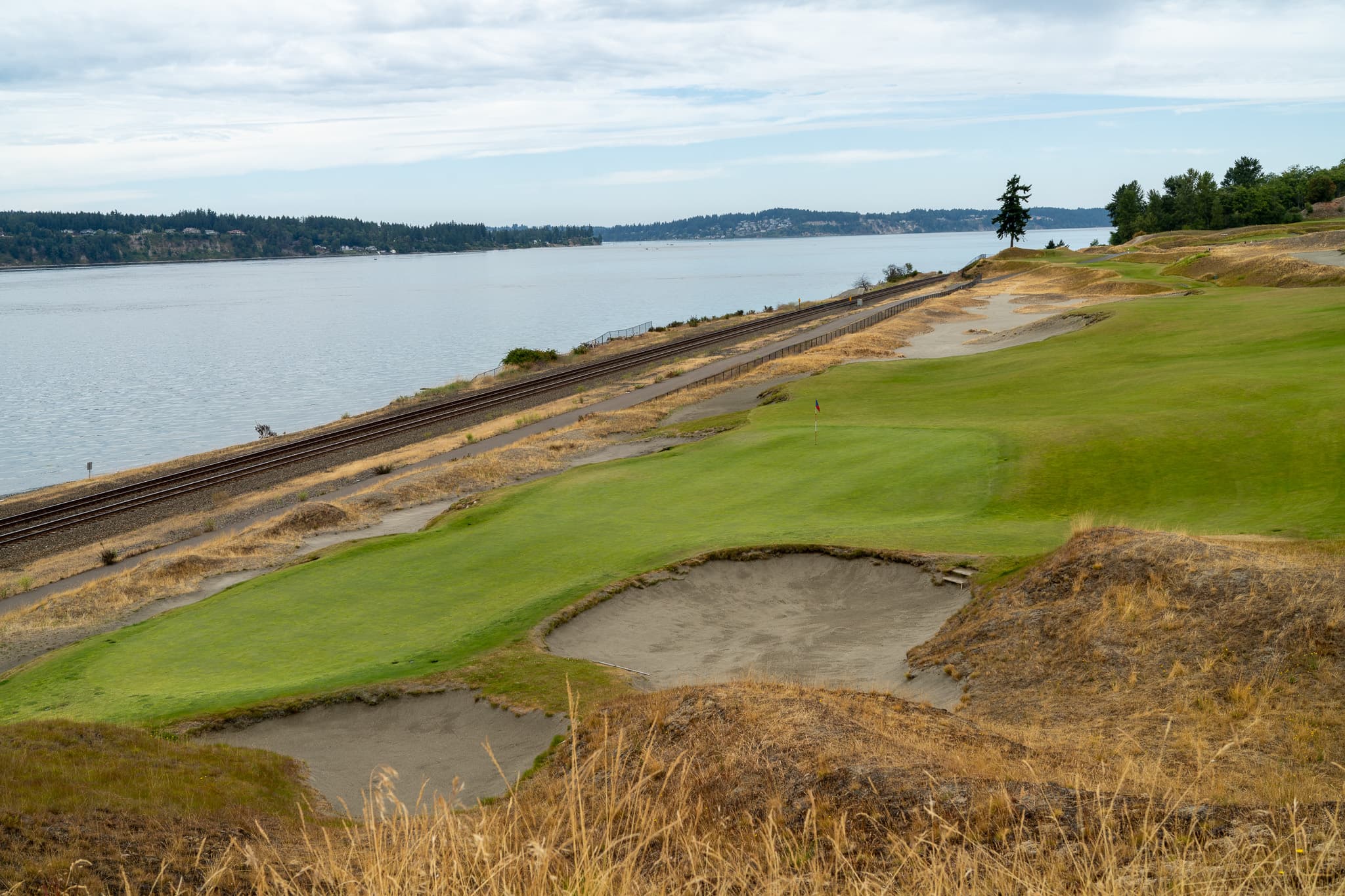 fescue and bunkers along the Puget Sound shoreline